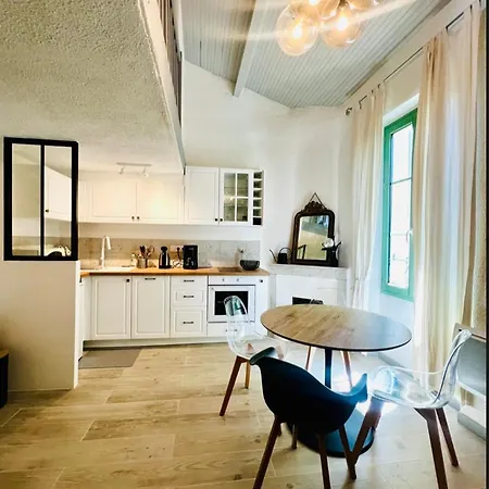Renovated 2 Bedroom Duplex In The Center Of أنتيب